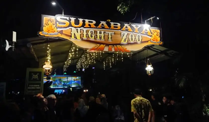 Surabaya Night Zoo: Destinasi Wisata Malam yang Wajib Dikunjungi di Surabaya!